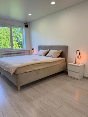 Apartamento de Lujo en Alytus